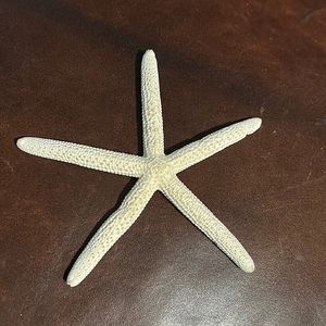 Starfish